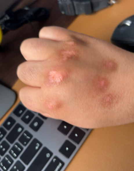 1735623740639839.png 1 (10).png